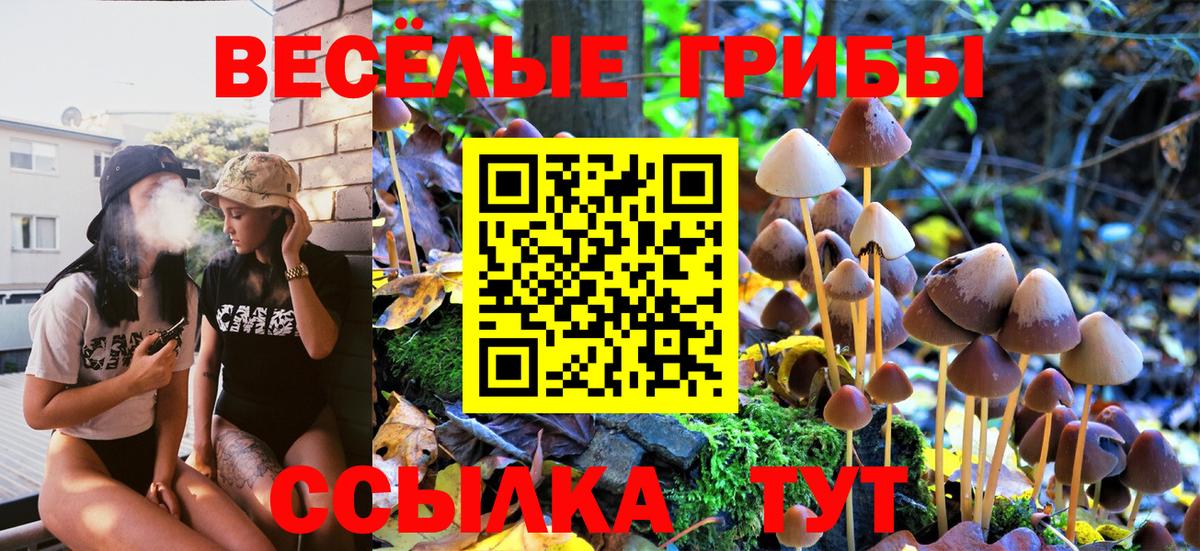 Керчь  Галлюциногенные грибы Psilocybine cubensis  Вход с VPN 