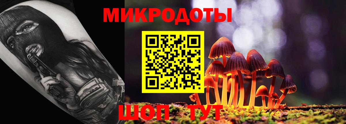 Галлюциногенные грибы прущие грибы Керчь